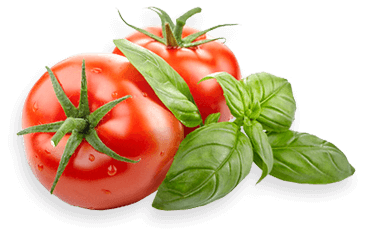 Pomidory z bazylią - background